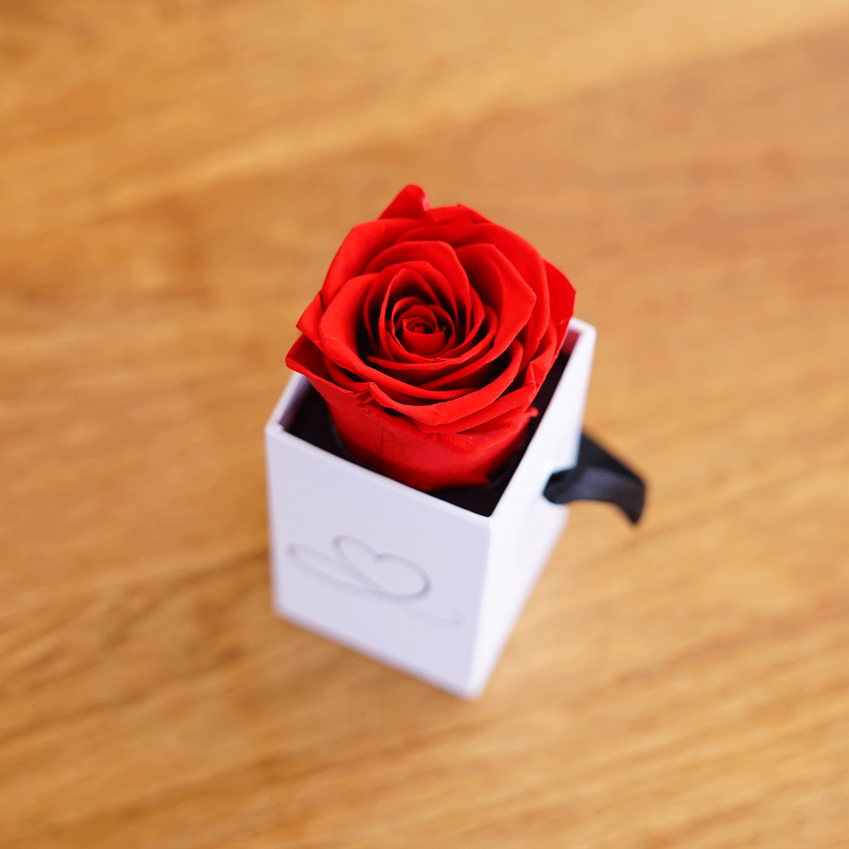 Infinity Rose